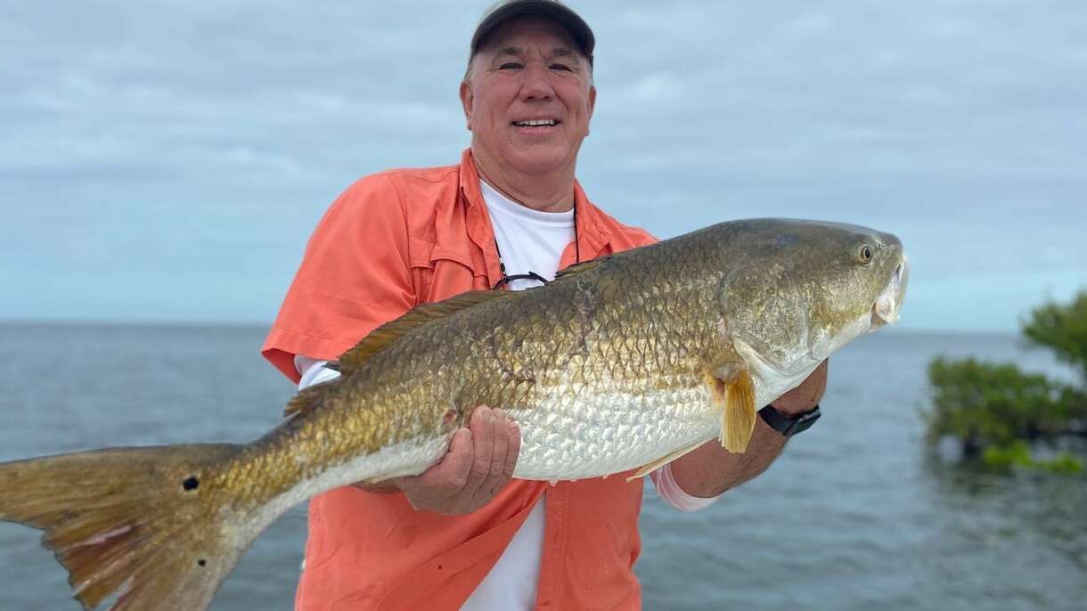 A picture of Big Redfish And Inshore Grouper with Crystal River Fishing Charters