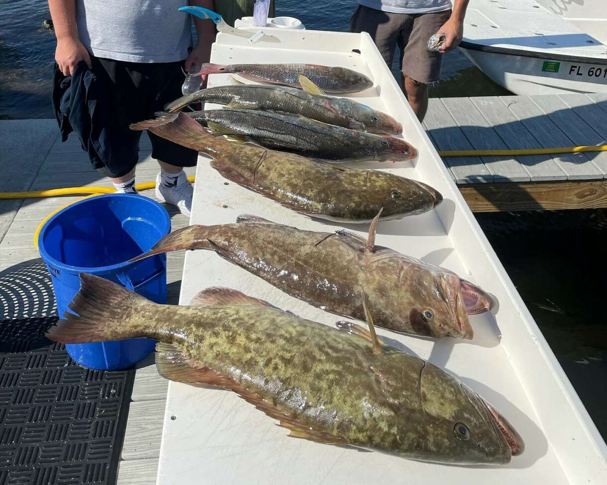 A picture of Inshore Gag Grouper, Mangrove Snapper, and Redfish with Crystal River Fishing Charters