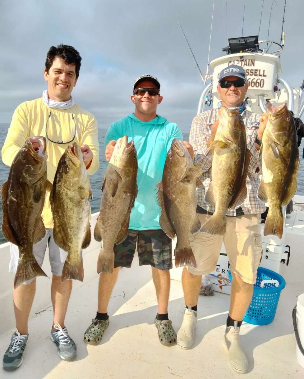 Winter Flounder, A Shore Thing - The Fisherman