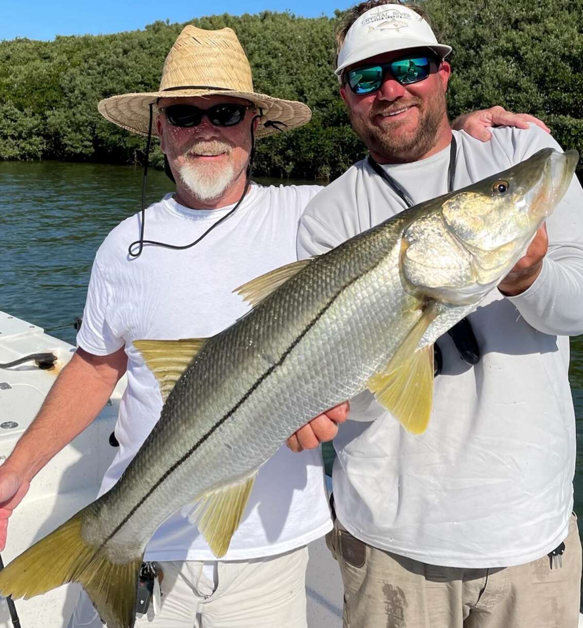 A picture of Spring Snook: Hunting the Linesiders of Central Florida with Crystal River Fishing Charters