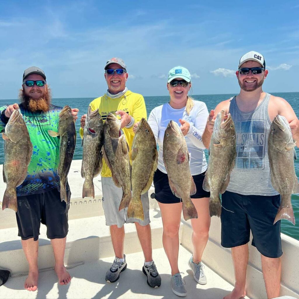 A picture of Happening Now: Gag Grouper, Scalloping Starts In 9 Days with Crystal River Fishing Charters