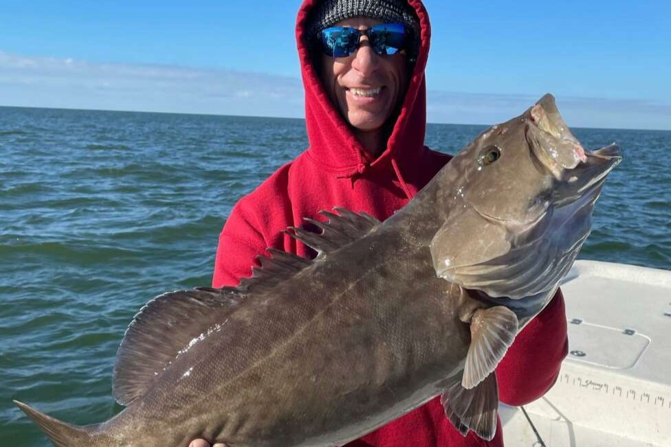 great catch grouper with goofish mighty deep 6ft glowing coating