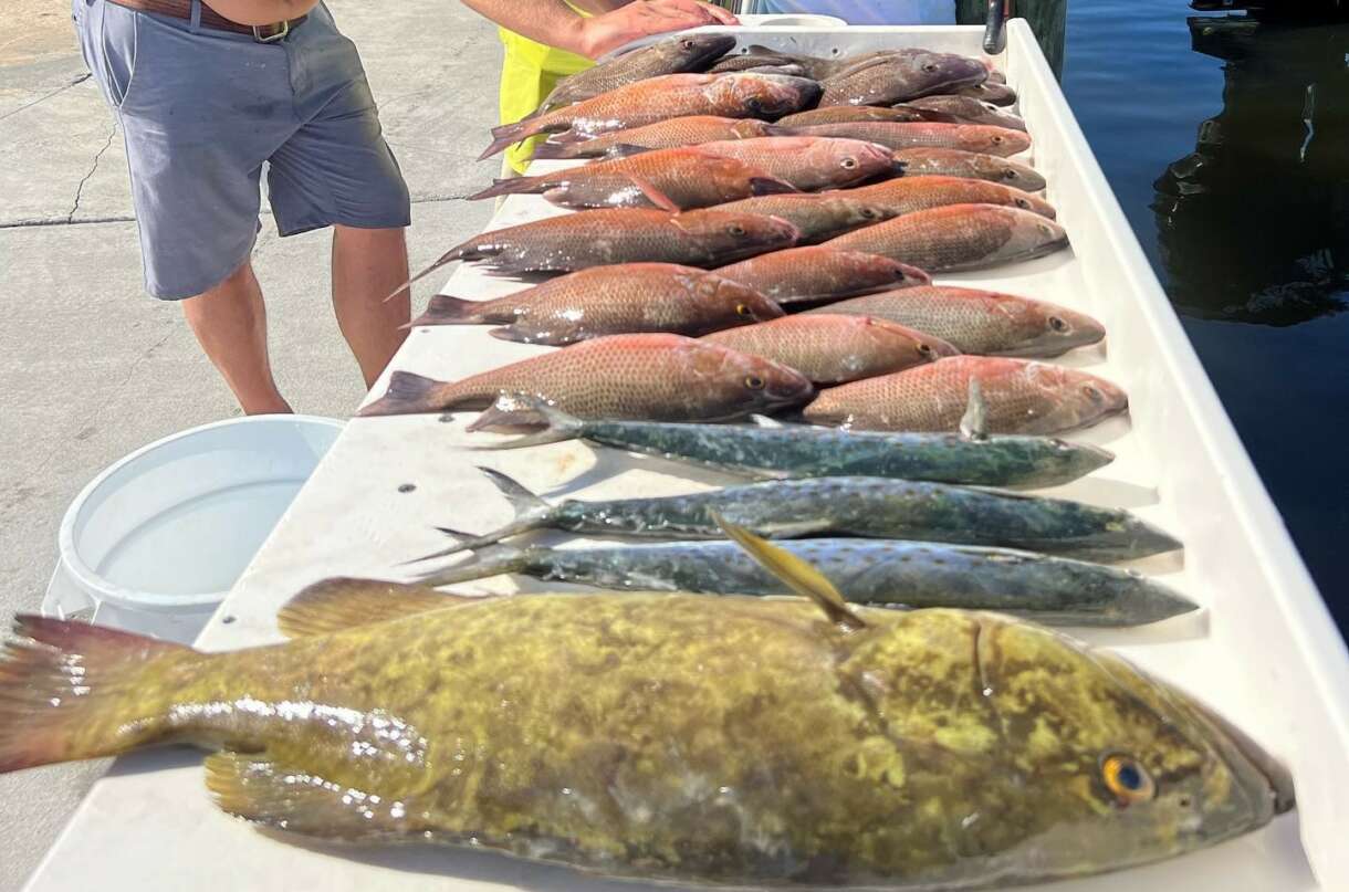 ᐅ Jewfish Creek fishing reports🎣• Florida City, FL (United States) fishing